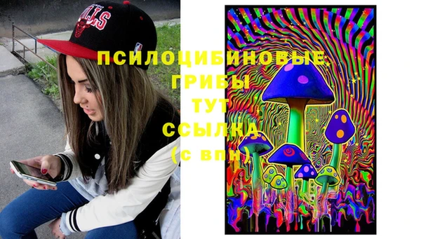 Альфа ПВП Ростов