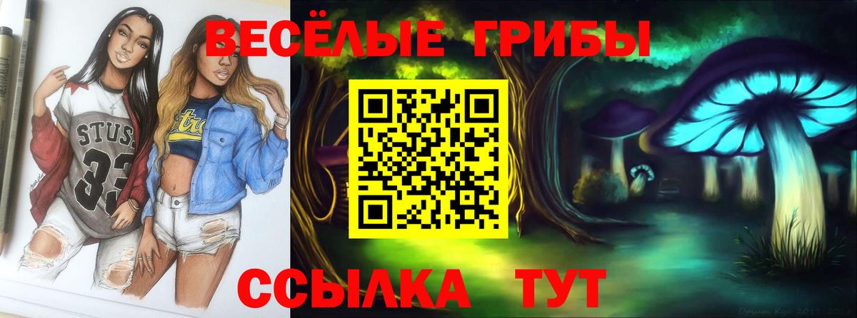 Карталы  Псилоцибиновые грибы Magic Shrooms  Вход с VPN 