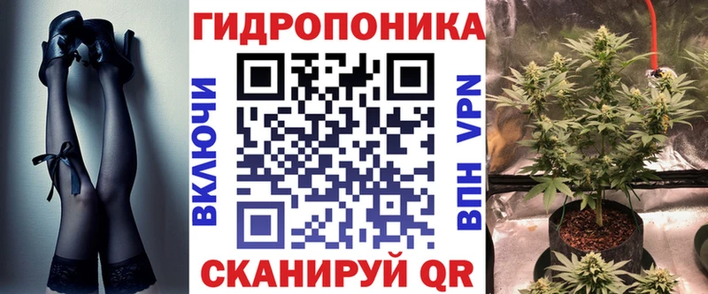 купить наркотик  Карталы  Бошки марихуана OG Kush 